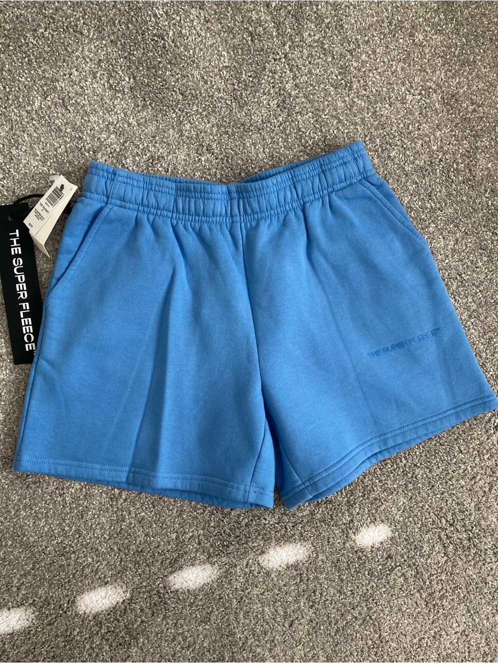 Aritzia Sky Blue Super Fleece Athletic Shorts - Picture 2 of 7